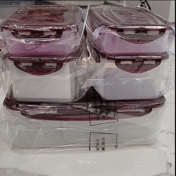 LocknLock 5 Storage Containers and Insulated Zippered Tote | Wine | NWT - Picture 3 of 11